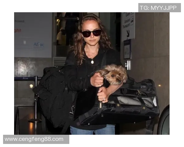 全球足球巨星宠物盘点 谁的萌宠最具魅力与个性